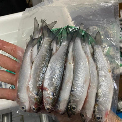 食品包装用 7層共圧された中間バリア収縮フィルム
