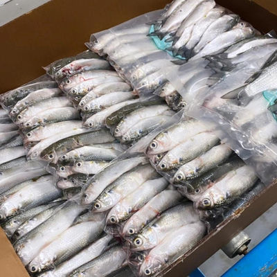 カスタムデザイン プラスチックバリア 熱縮膜 食品包装用 熱封印 50-150um